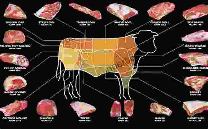 A Colorful Plate Filled With Various Cuts Of Meat Guide To An All Meat Diet: Feed Your Inner Carnivore With These Amazing High Protein Meat Recipes: Meat Eating Diet