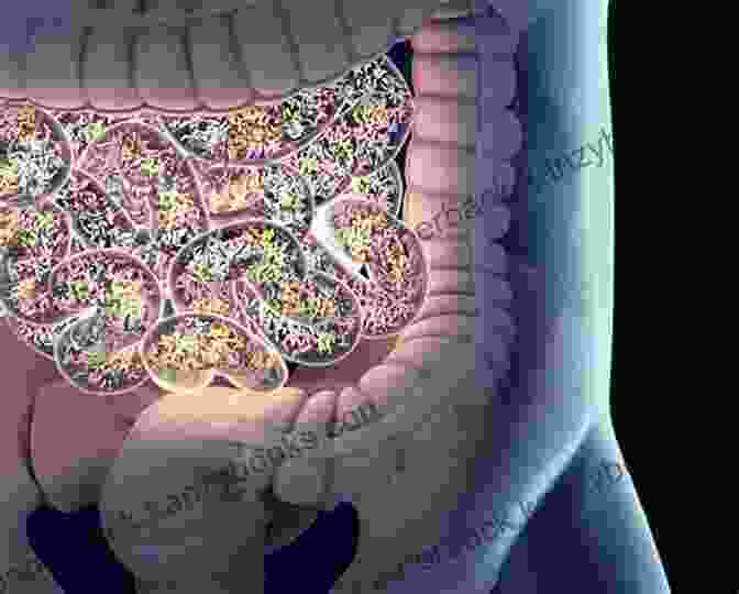 A Microscopic Image Of The Gut Microbiome Digestive Health With REAL Food