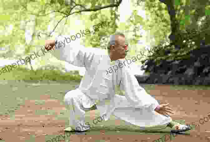 A Person Practicing Tai Chi Life Pulse Massage: Taoist Techniques For Enhanced Circulation And Detoxification