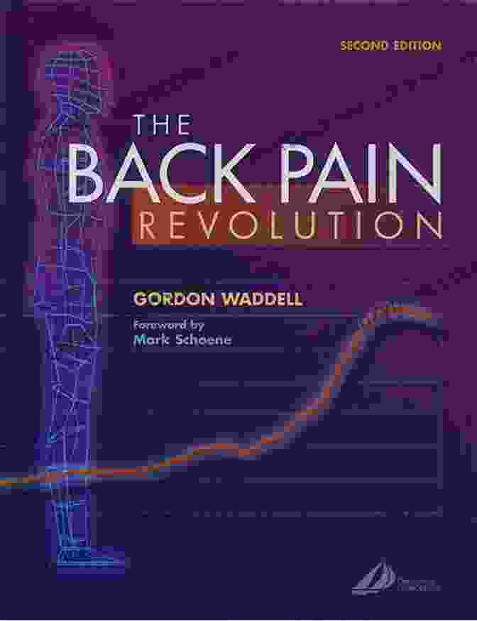 Back Pain Revolution Book Cover Back Pain REVOLUTION Step By Step SOLUTION Self Treatment Process To End Chronic Back Pain