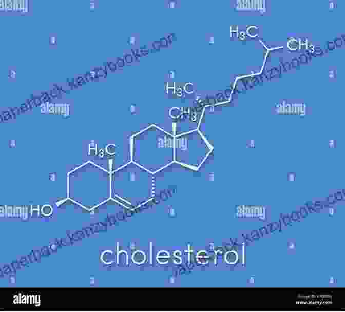 Cholesterol As The Precursor To Essential Hormones The Dark Side Of Statins: Plus: The Wonder Of Cholesterol