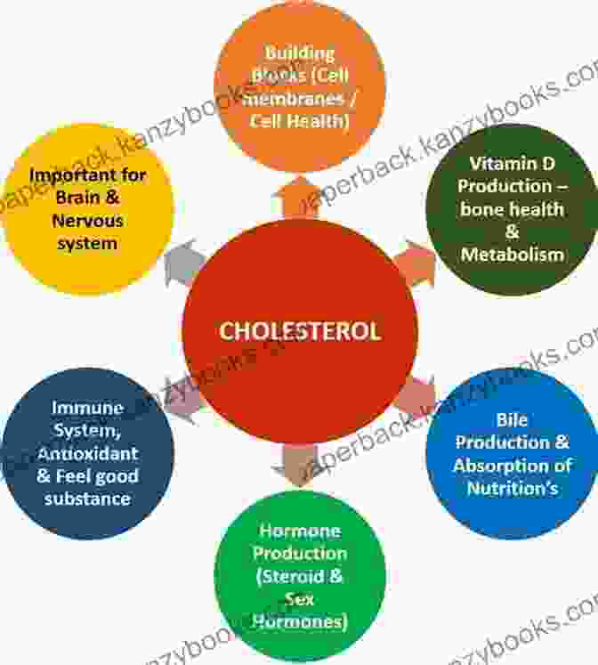 Cholesterol's Vital Role In Brain Function The Dark Side Of Statins: Plus: The Wonder Of Cholesterol