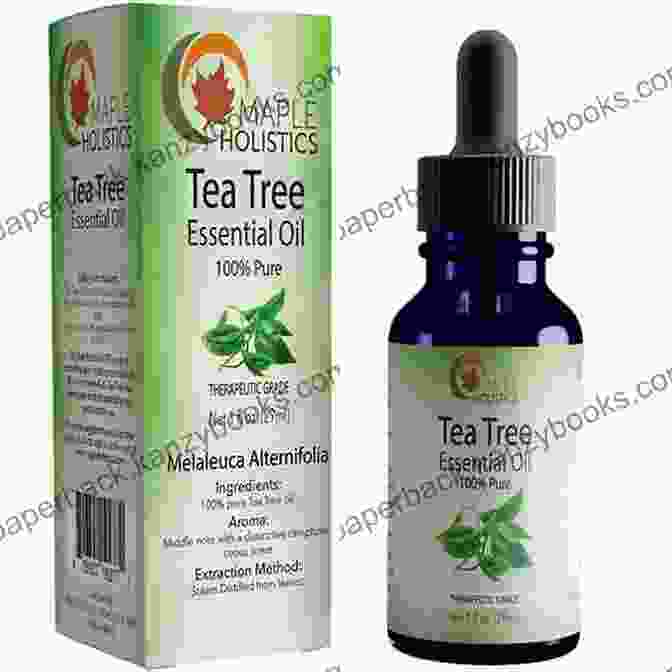 Tea Tree Oil For Antibacterial A Basic How To Use Essential Oils Guide To Natural Home Remedies: 125 Aromatherapy Oil Diffuser Healing Solutions For Dogs Bath Bombs Mosquitos In Recipes And Natural Home Remedies 4)