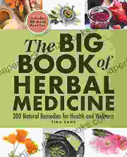 The Big Of Herbal Medicine: 300 Natural Remedies For Health And Wellness