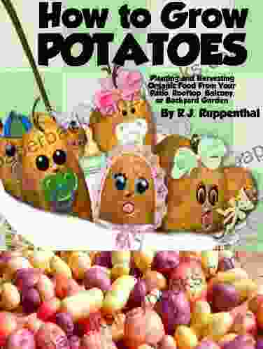 How To Grow Potatoes: Planting And Harvesting Organic Food From Your Patio Rooftop Balcony Or Backyard Garden (Booklet)