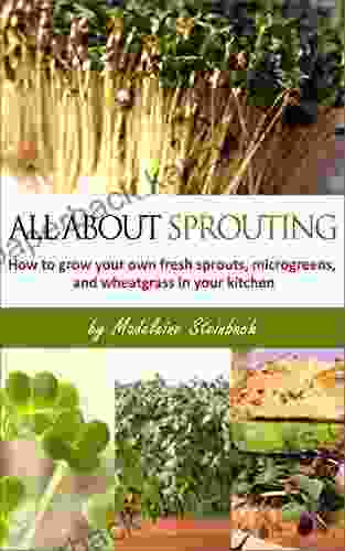 All About Sprouting: How To Grow Your Own Fresh Sprouts Microgreens And Wheatgrass In Your Kitchen