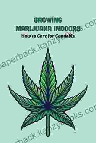 Growing Marijuana Indoors: How To Care For Cannabis